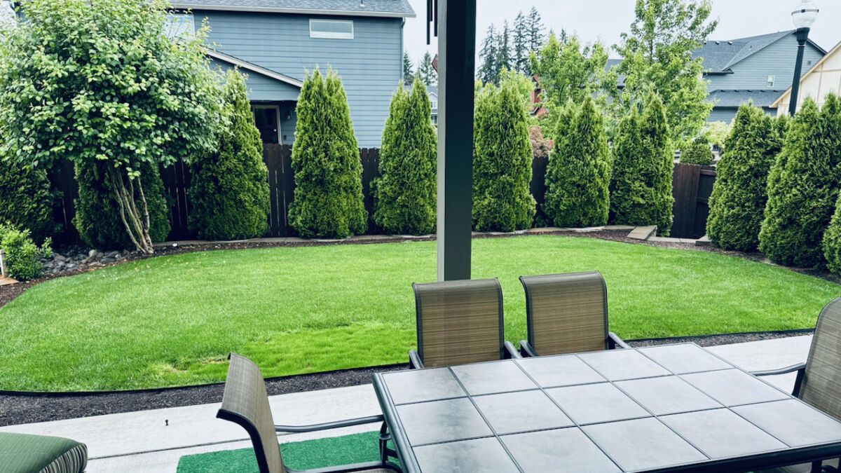 Before Backyard Putting Green
