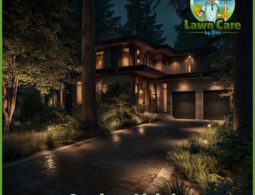 Shedding Light on Hardscaping: The Power of Outdoor Lighting in Transforming Your Yard