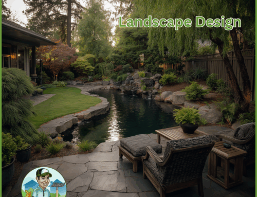 Landscape Design: The Key To Transforming Your Hardscaping