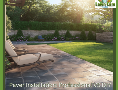 Paver Installation: Professional VS DIY